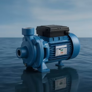 GPV Water Pump, 1.5 HP, 220 V (Italy)