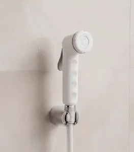 رأس شطاف أبيض ماجور